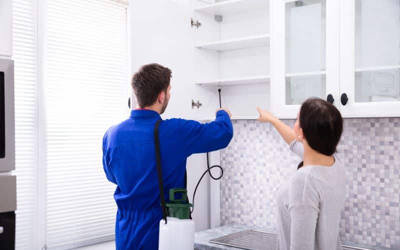 Evergreen Pest Control Comprehensive Solutions for a Pest Free